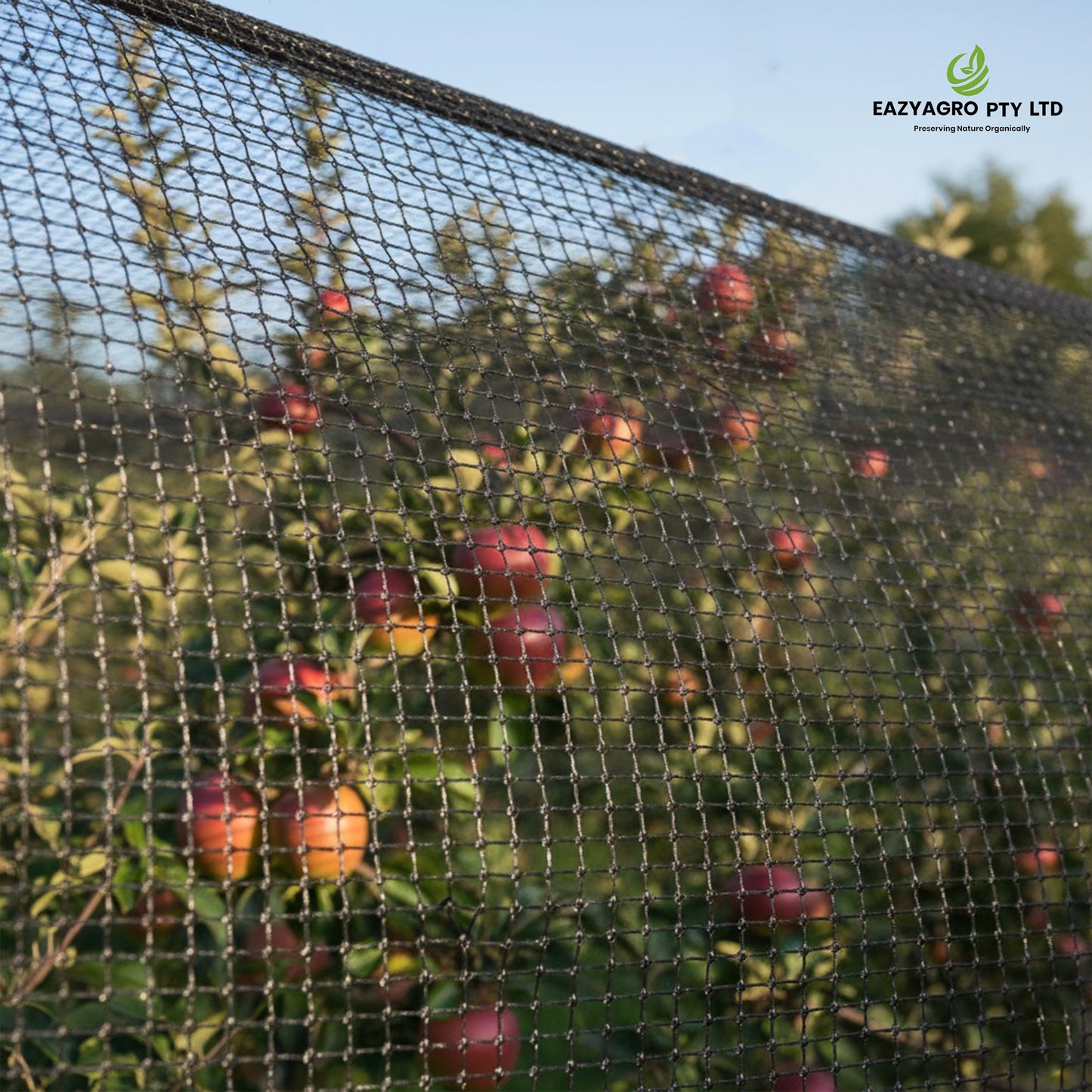 Bird Netting – 30 GSM