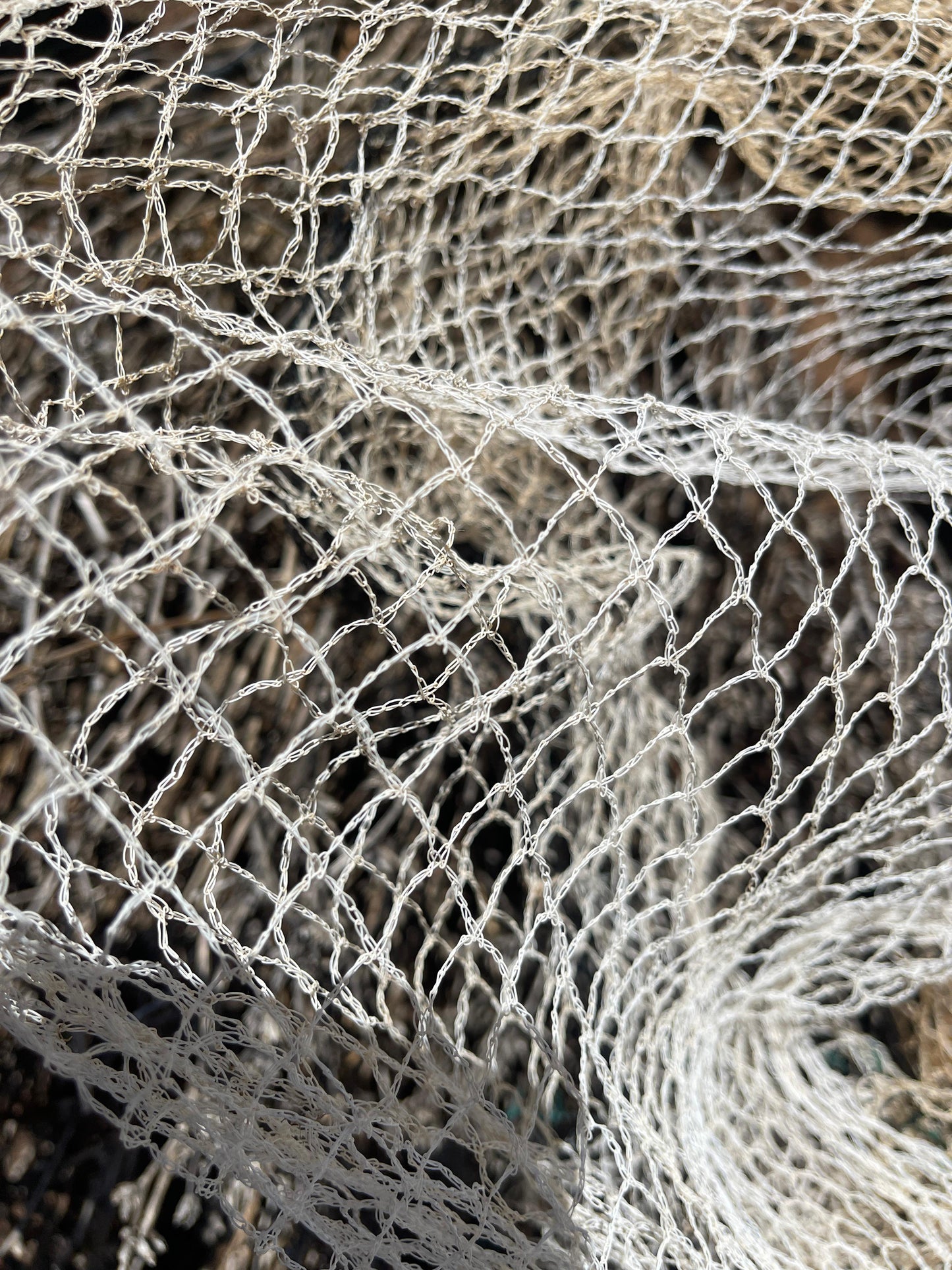 Bird Netting – 30 GSM