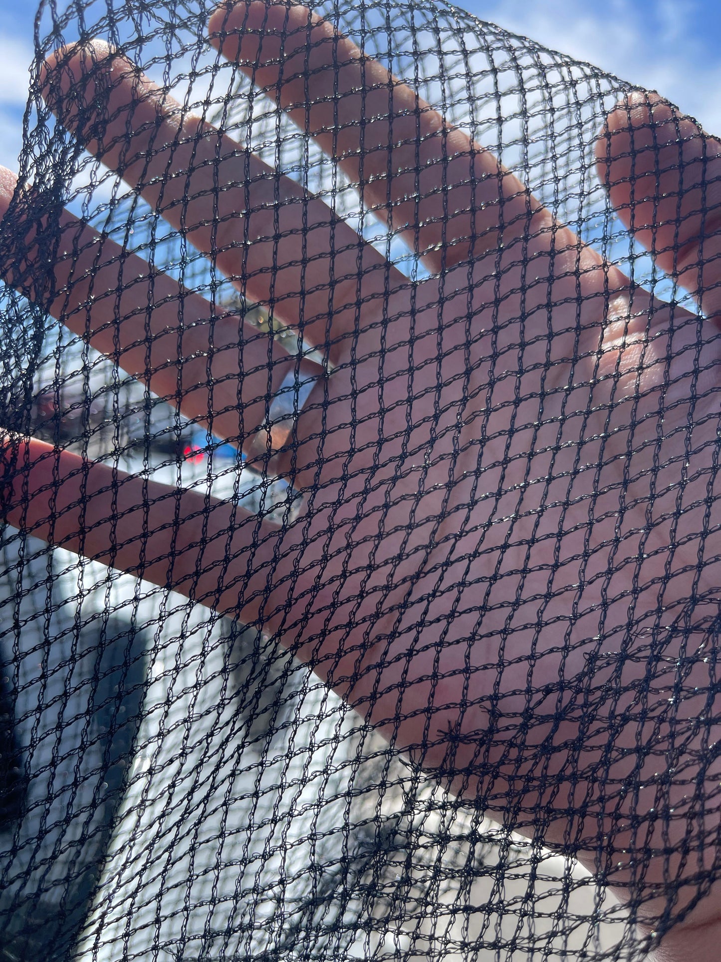 Bird Netting – 30 GSM