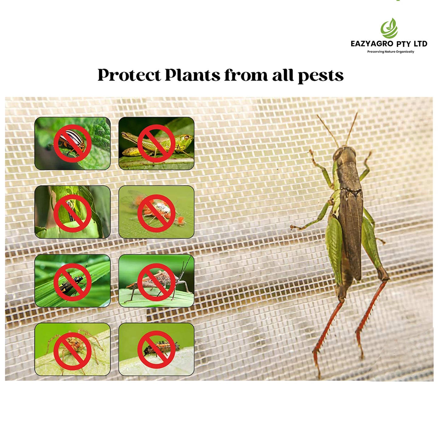 Insect net - 2 meter wide