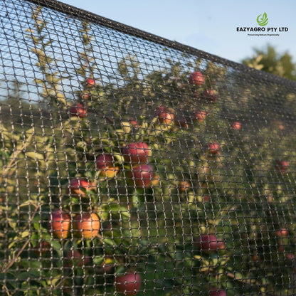 Bird Netting – 30 GSM